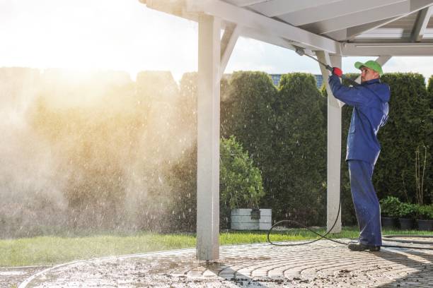 Best Roof Washing  in Carrollton, AL